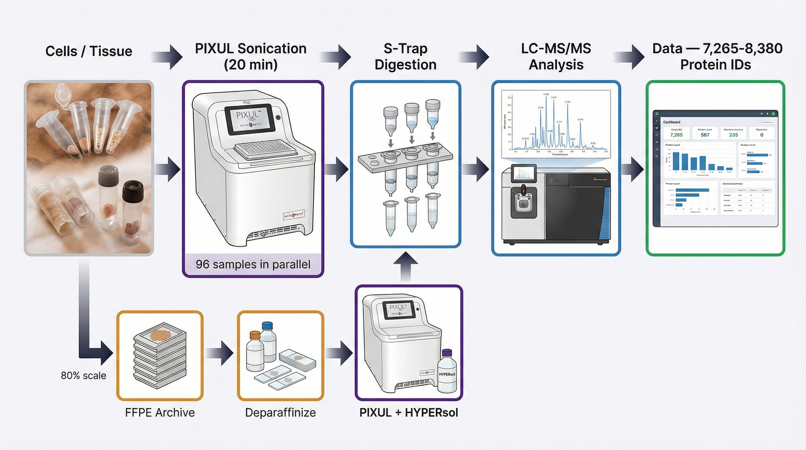 PIXUL proteomics workflow diagram: Cells or tissue loaded into 96-well plate, PIXUL sonication, S-Trap or SP3 digestion, LC-MS/MS analysis